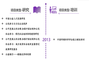 用力吸轻点揉流水了非评估类项目发展历程